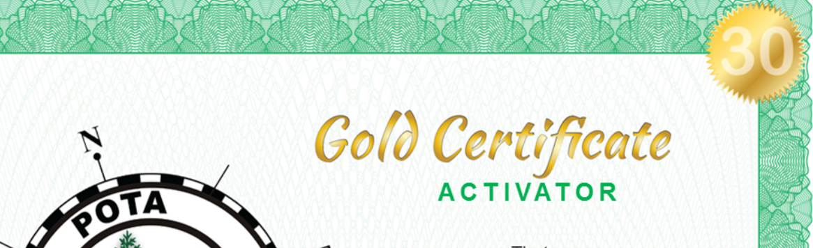 Ausschnitt aus dem Award als Gold Activator